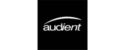 AUDIENT