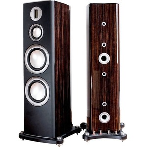 Напольная акустика Monitor Audio Platinum PL300 Ebony