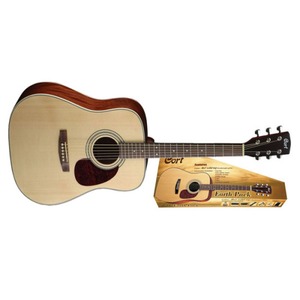 Акустическая гитара Epiphone DR-100 NATURAL CH