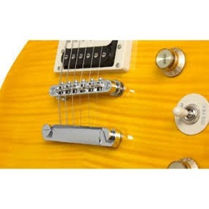 Гитарный комплект Epiphone SLASH AFD LES PAUL PERFORMANCE PACK