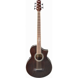 Бас-гитара IBANEZ EWB205WNE-NT + Case