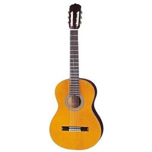 Классическая гитара ARIA CGPN-002 N