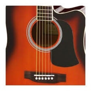 Акустическая гитара ARIA AFN-15 BS