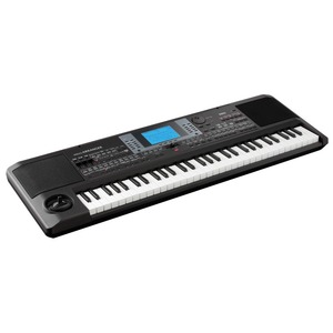 Цифровой синтезатор KORG MICROARRANGER MAR-1