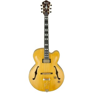 Гитара полуакустическая IBANEZ PM2-AA