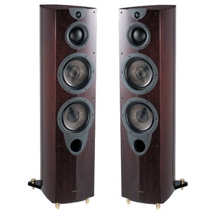 Напольная акустика Wharfedale EVO2 50 Rosewood