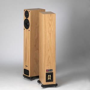 Напольная акустика PMC GB1i Oak