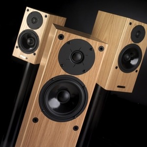Напольная акустика PMC GB1i Oak