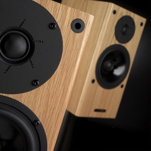 Полочная акустика PMC TB2i Walnut