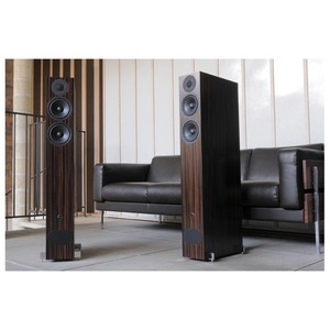 Напольная акустика PMC Fact 8 Graphite Poplar