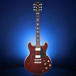 Гитара полуакустическая ARIA TA-CLASSIC WR