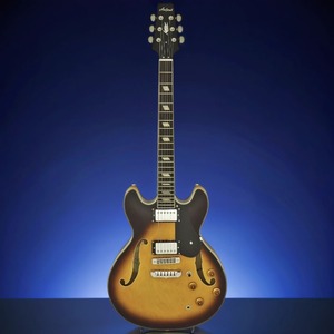 Гитара полуакустическая ARIA TA-CLASSIC BS