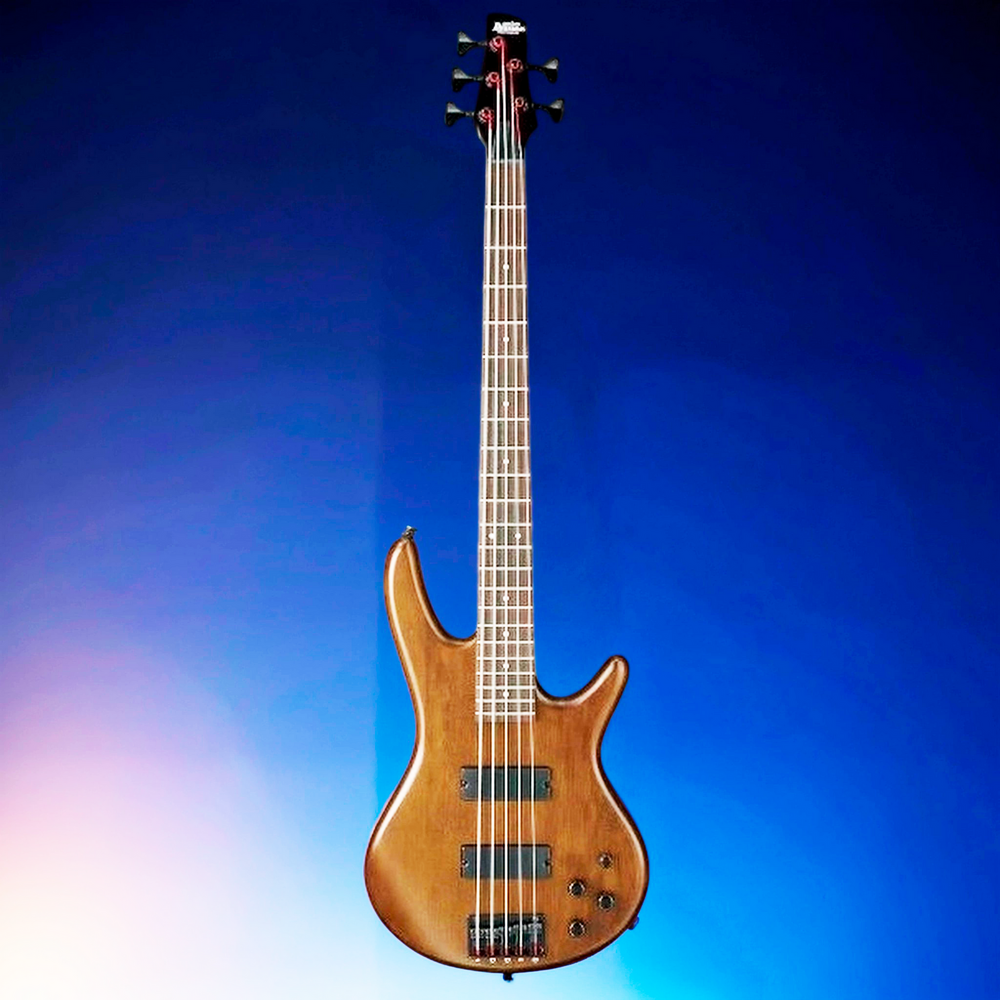 Бас-гитара IBANEZ GSR205B-WNF