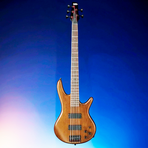 Бас-гитара IBANEZ GSR205B-WNF