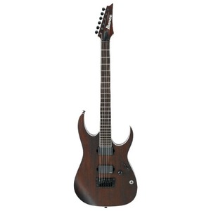 Электрогитара IBANEZ IRON LABEL RGIR20BFE-WNF