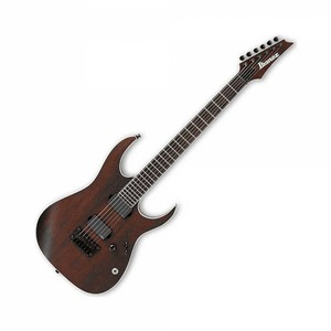 Электрогитара IBANEZ IRON LABEL RGIR20BFE-WNF