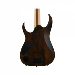 Электрогитара IBANEZ IRON LABEL RGIR20BFE-WNF