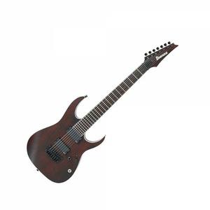 Электрогитара IBANEZ IRON LABEL RGIR27BFE-WNF