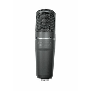 Микрофон студийный конденсаторный AV-Jefe ST 201