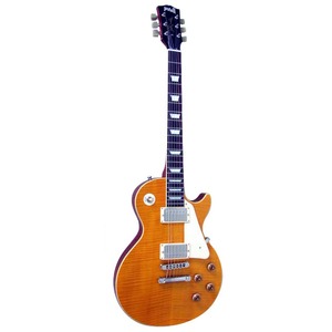 Электрогитара Les Paul Burny RLG55 VLD