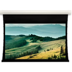 Экран для дома, настенно потолочный с электроприводом Projecta Tensioned Elpro Concept 162x280 см (122) Matte White (10102383)