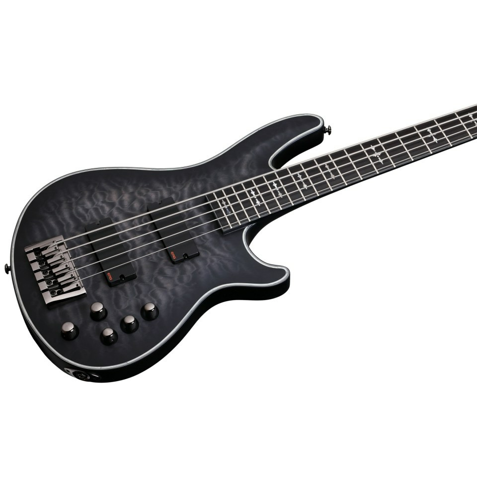 Schecter bass