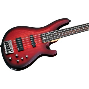 Бас-гитара SCHECTER C-5 Custom TCS