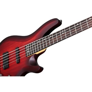 Бас-гитара SCHECTER C-5 Custom TCS
