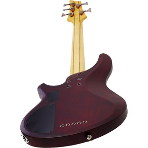 Бас-гитара SCHECTER C-5 Custom TCS