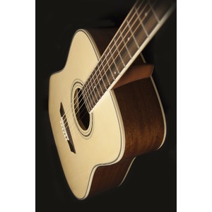 Акустическая гитара Washburn WCD18