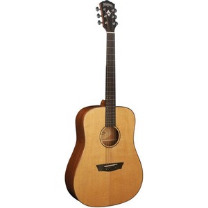 Акустическая гитара Washburn WD160SW
