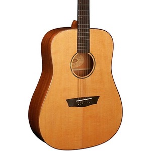 Акустическая гитара Washburn WD160SW