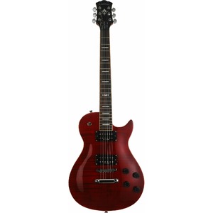 Электрогитара Washburn WINPRO FTR