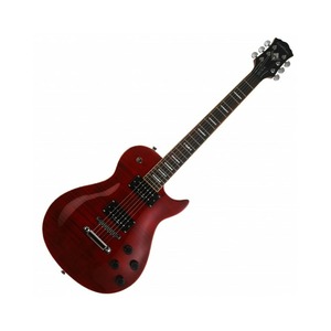 Электрогитара Washburn WINPRO FTR