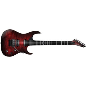 Электрогитара Washburn PXS10FRDLXWB