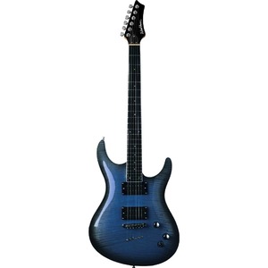 Электрогитара Washburn RX22F-BLB