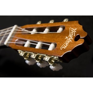 Электроакустическая гитара Washburn C5CE