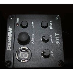 Электроакустическая гитара Washburn WD10CEB
