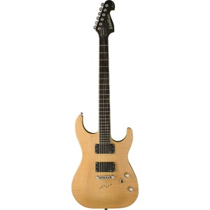 Электрогитара Washburn X50PROFE(NK)
