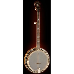 Банджо Washburn B120(N)K