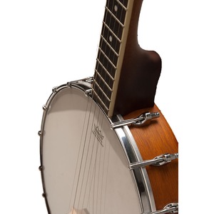 Банджо Washburn B7