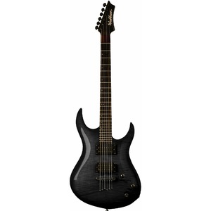 Электрогитара Washburn XMPRO2F-RPB