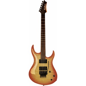 Электрогитара Washburn XMPRO2FRF-WSB