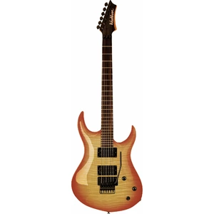 Электрогитара Washburn XMPRO2FRF-WSB