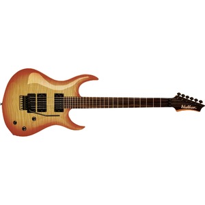 Электрогитара Washburn XMPRO2FRF-WSB
