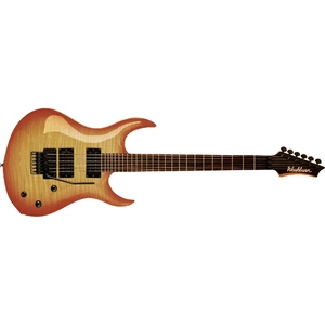 Электрогитара Washburn XMPRO2FRF-WSB