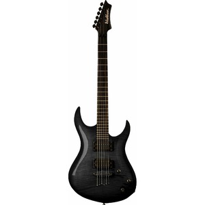 Электрогитара Washburn XMPRO2USD-PB