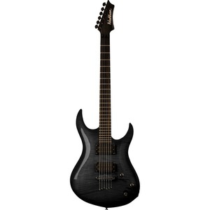 Электрогитара Washburn XMPRO2USE-PB