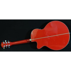 Электроакустическая гитара Washburn EA10R