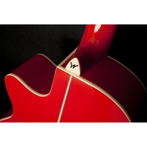 Электроакустическая гитара Washburn EA10R
